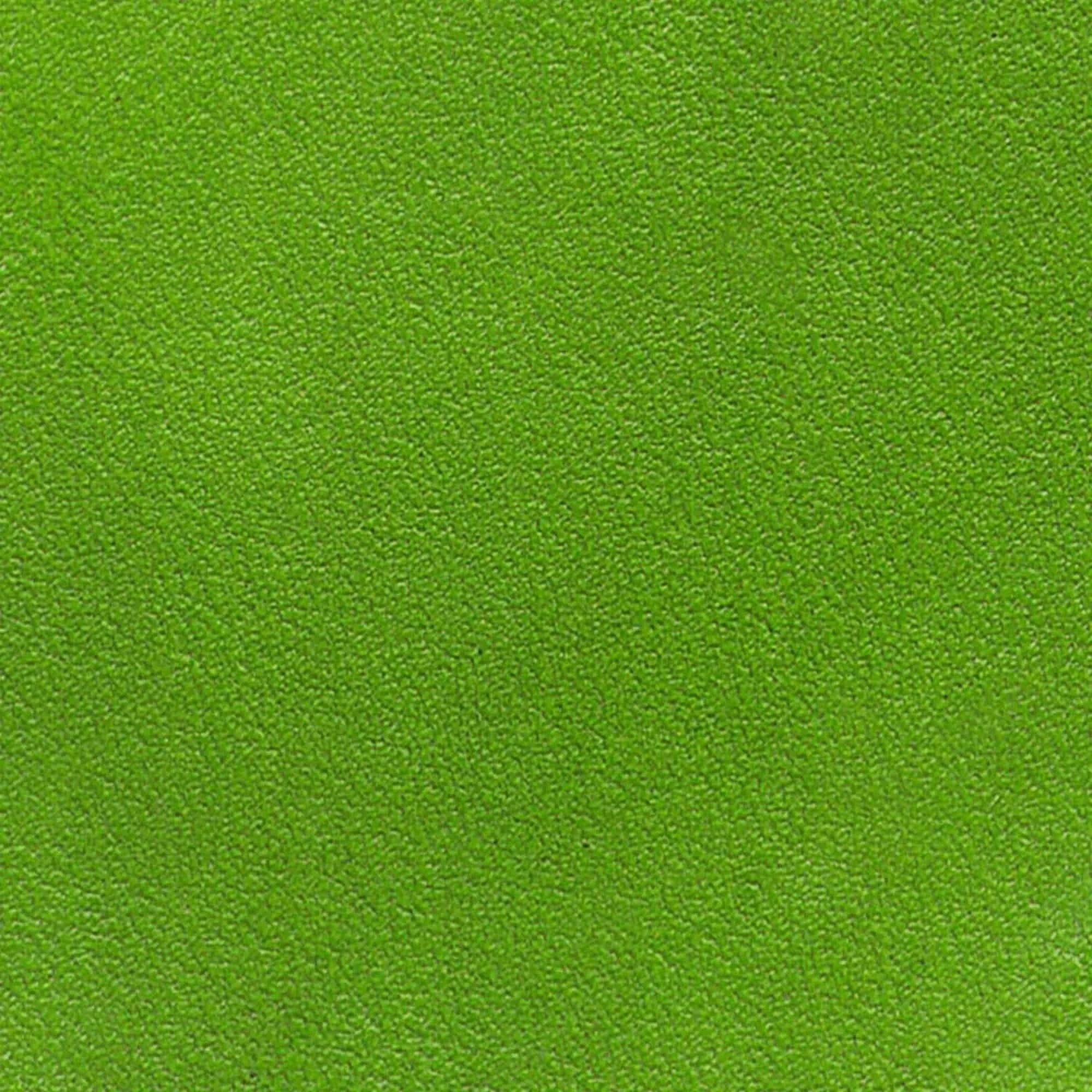 Kelly Green Leather Dye