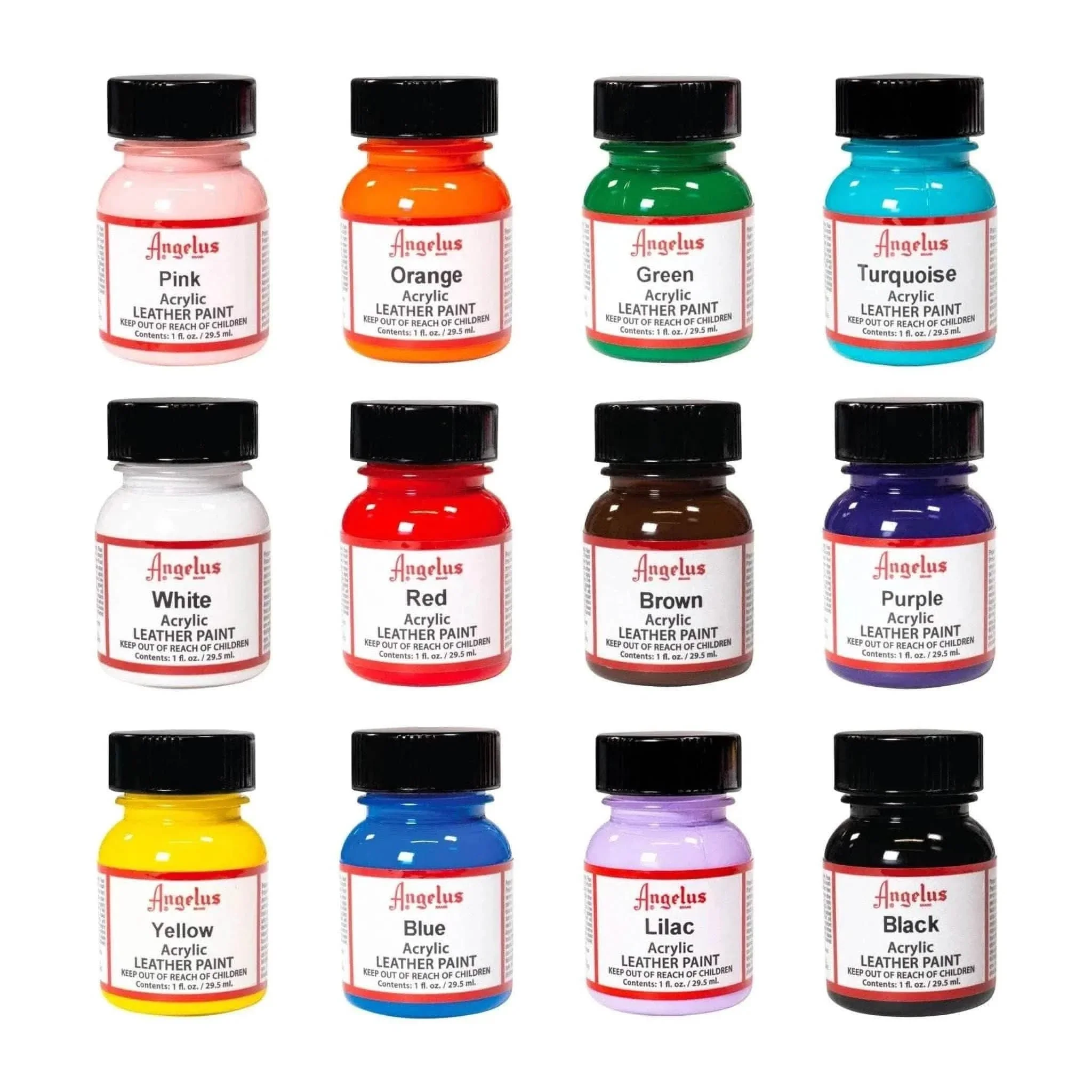 12 Color Paint Assortment Kit
